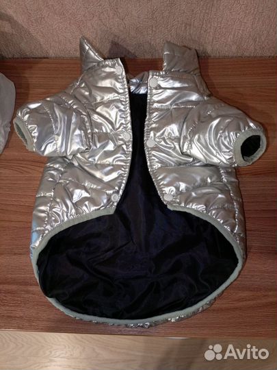 Одежда для маленьких собак