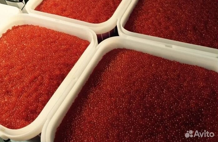 Красная икра август 2023 оптом и мелким оптом