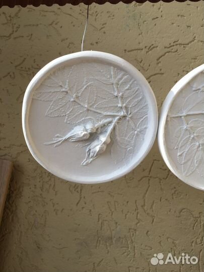 Ботанический барельеф