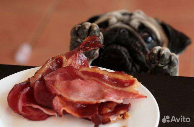 Еда для собак