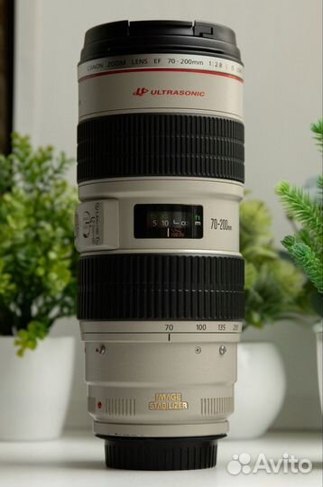 Canon EF 70-200mm f/2.8L IS USM