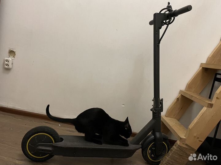 Электросамокат бу