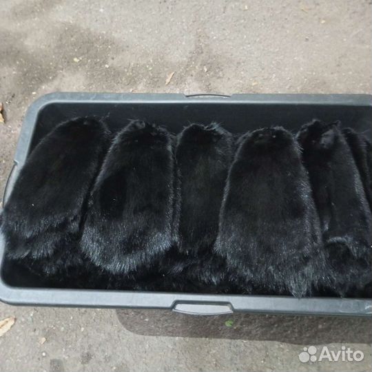 Шкурка животного