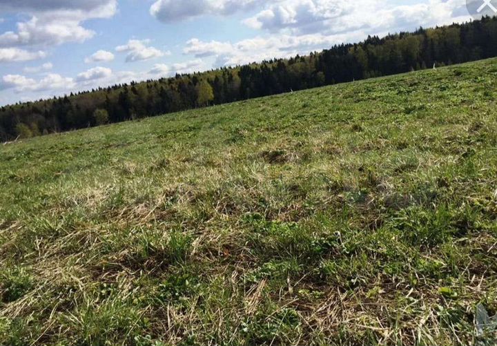 Участок 13,3 сот. (ИЖС)