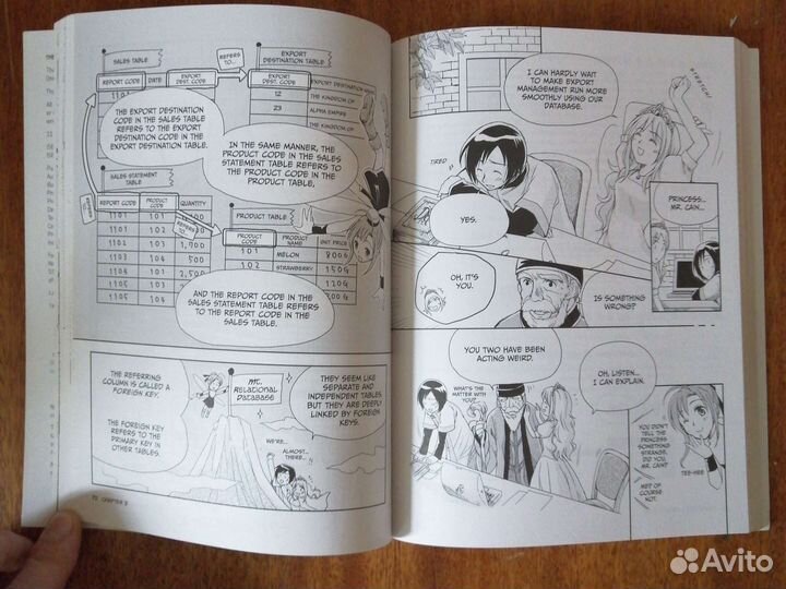 Базы данных в стиле Манга. На англ. языке