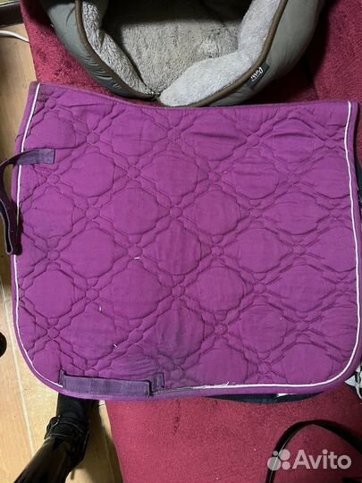 Вальтрап выездка