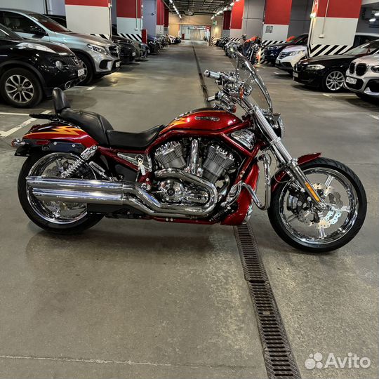 V-ROD CVO