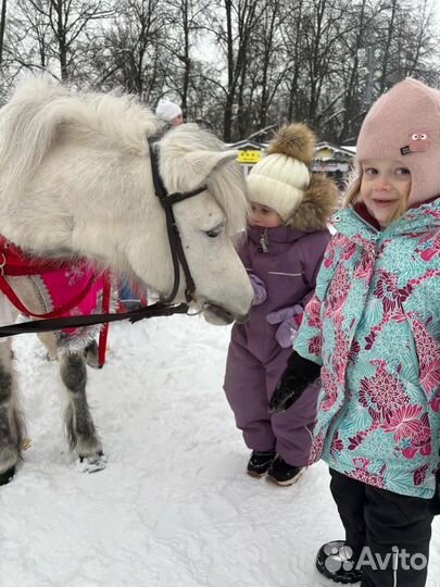Прогулки на лошадях
