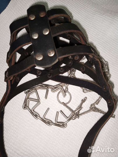 Амуниция для собак