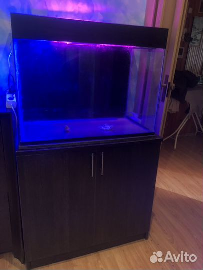 Аквариум с тумбой 160 литров