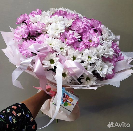 Хризантема Ромашка Доставка цветов