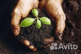 Навоз плодородный в мешках