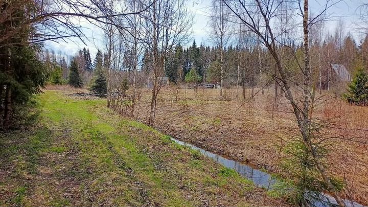 Участок 24 сот. (СНТ, ДНП)