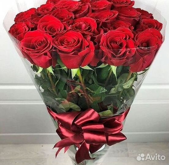 Розы гиганты 140 150 160 170 180 200