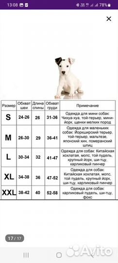 Одежда для маленьких собак