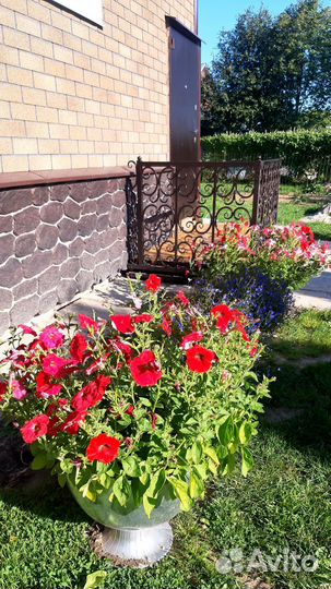 Вазоны для цветов