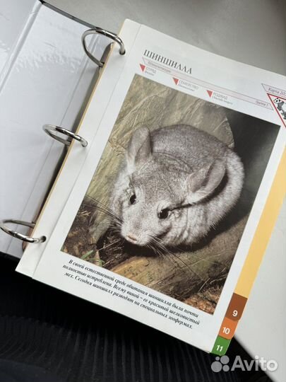 В мире дикой природы