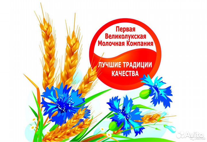 Водитель-экспедитор категории В, С