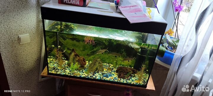 Аквариум