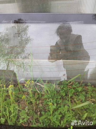 Заднее стекло