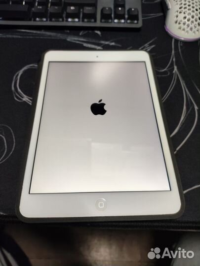 iPad mini 2
