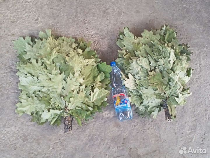 Веники дубовые