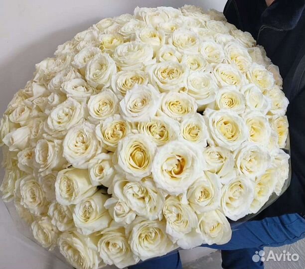 Роза белая Эквадор, букет из белых роз В омске