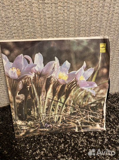 Виниловая пластинка Александра Пахмутова