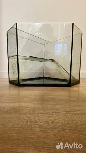 Красноухая черепашка с акватеррариумом (торг)