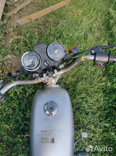 Alpha sport