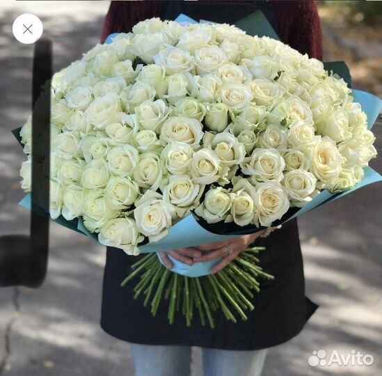 101 белая роза