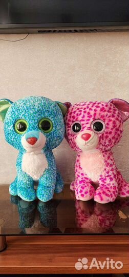 Котики из коллекции TY beanie