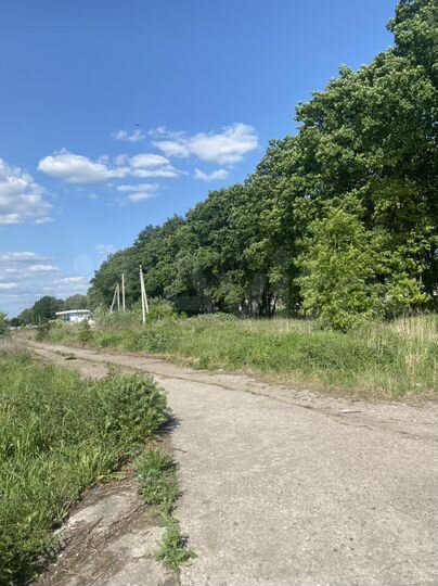 Участок 26 сот. (ИЖС)