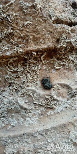 Пифос горло