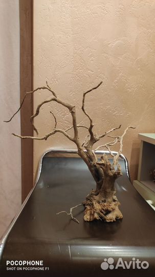 Коряга в аквариум