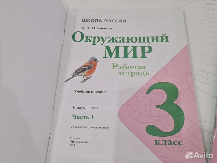 Рабочие тетради окружающий мир 3 класс Плешаков
