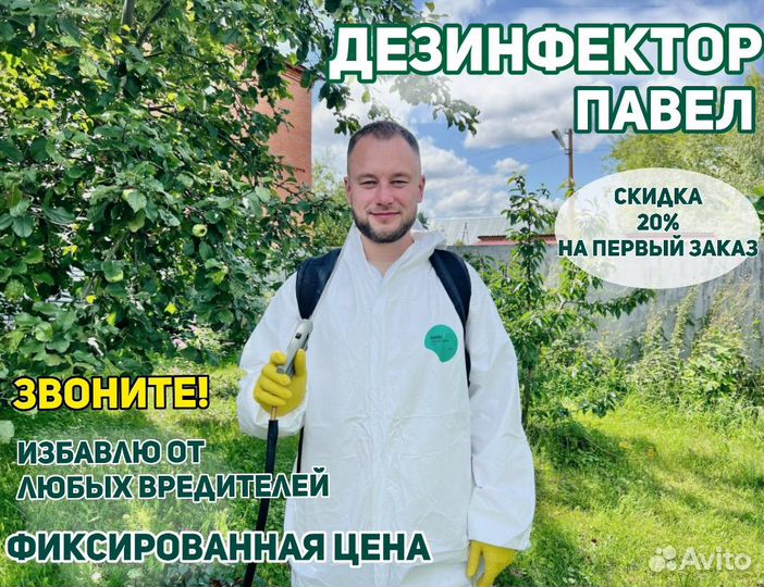 Избавление от тараканов, клопов