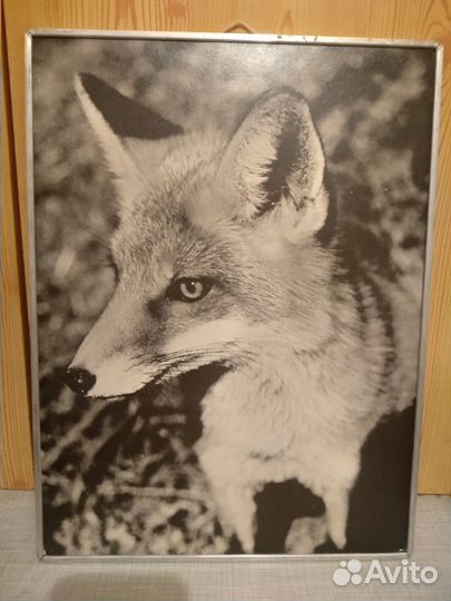 Интерьерная картина