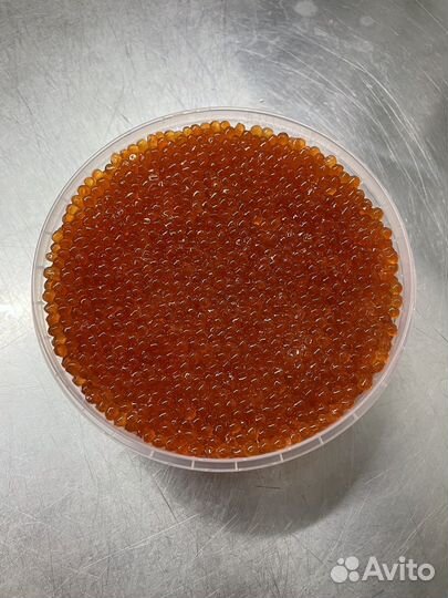 Икра красная 500гр 2023г