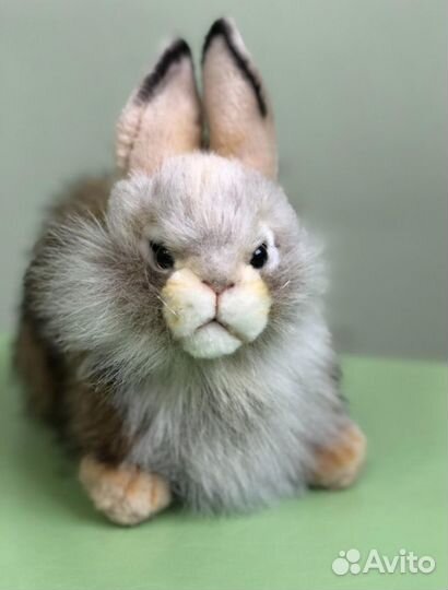 Кролик Hansa, 20 см
