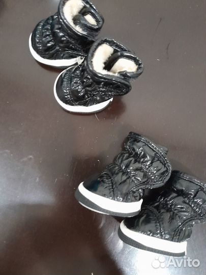 Продам сапожки для собачки