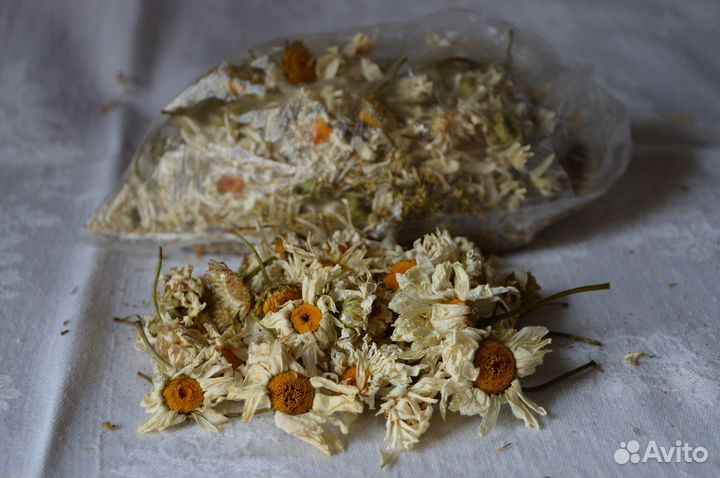 Ромашка луговая (нивянка) сушёная