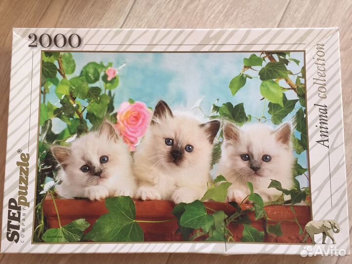 Пазл 2000 деталей