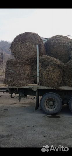 Сено в тюках