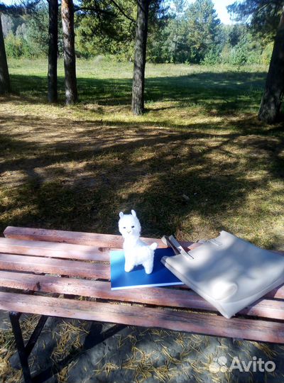 Красотка лама альпака