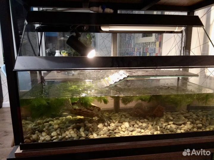 Аквариум на заказ