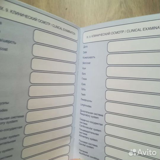 Международный ветеринарный паспорт хорька/фретки