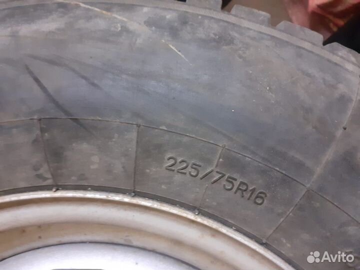 Forward Professional 219 225/75 R16 107