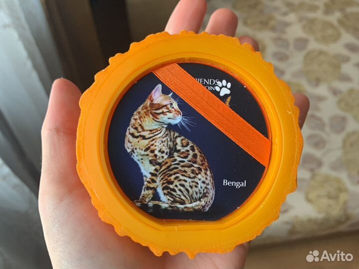 Серебряная монета