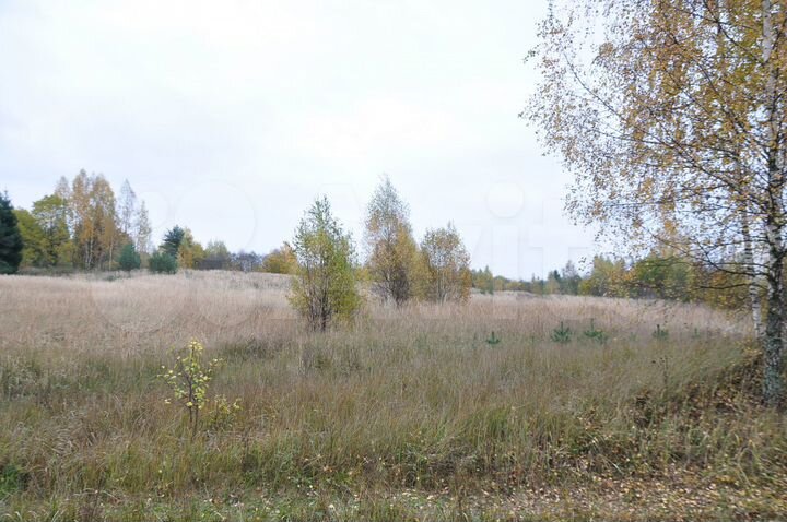 Участок 4,2 га (СНТ, ДНП)